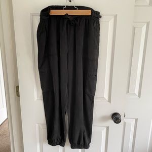 American Eagle Tencel Joggers, L